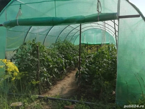  3x3 m Solar de gradina 9 mp, teava galvanizata