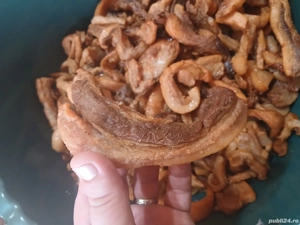 Carne de porc diverse sortimente 