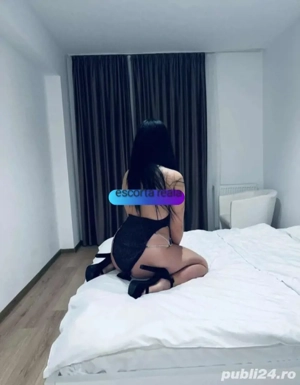 Servicii totale experienta și profesionista