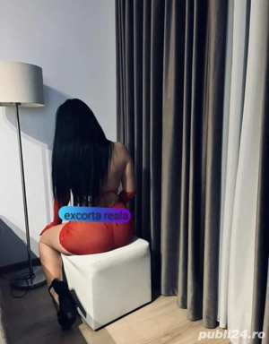 Servicii totale experienta și profesionista