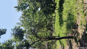 Casa de vânzare în zonă rurală - imagine 8