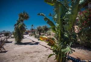 Vand Studio Vogh Olimp - imagine 10