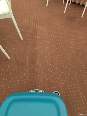 Curatare Mochete - imagine 2