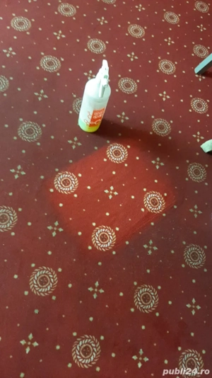 Curatare Mochete - imagine 4