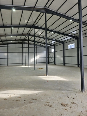 Hala noua  590 mp Afumati- Doraly - imagine 5