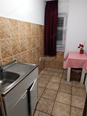 Apartament 2 camere ultracentral in Moldova Noua - imagine 6