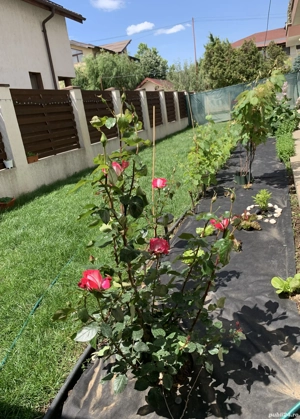 Vand apartament 3 camere+ curte 168mp + 2 locuri de Parcare