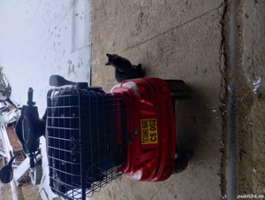 Triciclu electric Volta vm4