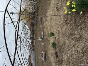 Solar de vânzare  - imagine 3