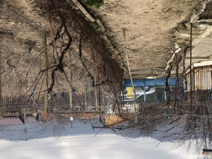 Casa de vanzare Gaze,camere 5+ zona Valea Nucului Plescoi - imagine 7