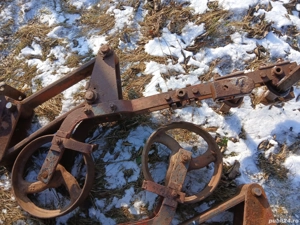 Vând cadru și secții prasitoare romaneasca - imagine 3