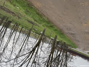 Teren pentru afacere sau locuință  - imagine 2