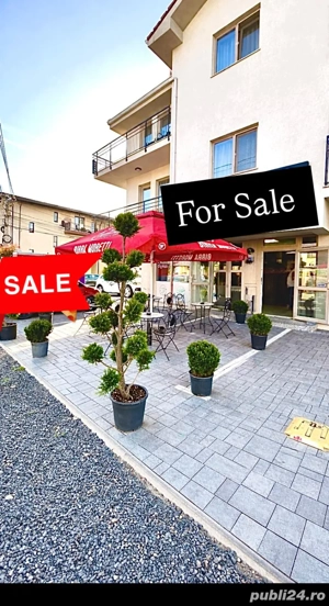 Vanzare afacere -restaurant-pizzerie- complet echipata