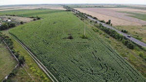 Vand Teren Extravilan Becicherecu Mic(zona industriala) 18.000mp,Utilitati