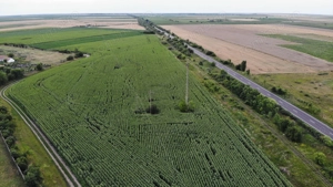 Vand Teren Extravilan Becicherecu Mic(zona industriala) 18.000mp,Utilitati - imagine 2