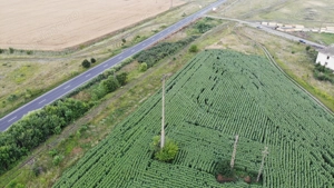 Vand Teren Extravilan Becicherecu Mic(zona industriala) 18.000mp,Utilitati - imagine 3