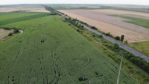 Vand Teren Extravilan Becicherecu Mic(zona industriala) 18.000mp,Utilitati - imagine 4