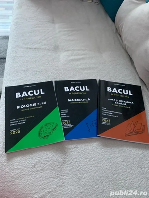 bacul pe intelesul tau 