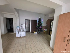 Depozite Hale Buzau 524mp 438mp 376mp 363mp 158mp Comercial Industrial 3,5 euro mp - imagine 5