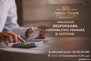 Responsabil Contabilitate pimara si gestiune