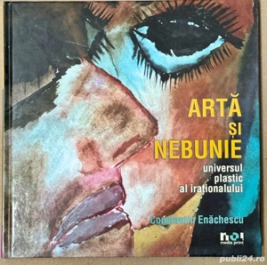 Constantin Enachescu - Arta si nebunie