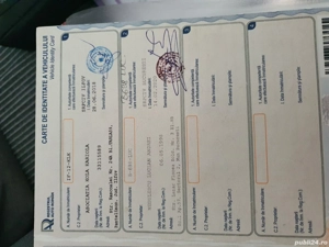 Vand VW Caddy Maxy Life - imagine 3