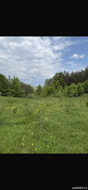 Vand teren extravilan 8329 mp (pasune), comuna Ciuta, Magura, Buzau