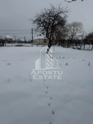 Casă individuală  în Recaș ,teren 1050 mp cu front pe două străzi . - imagine 4