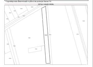 Teren extravilan UAT Tg-Jiu langa cimitir Bucureasa - imagine 3