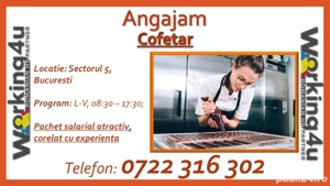 Cofetar   Ciocolatier