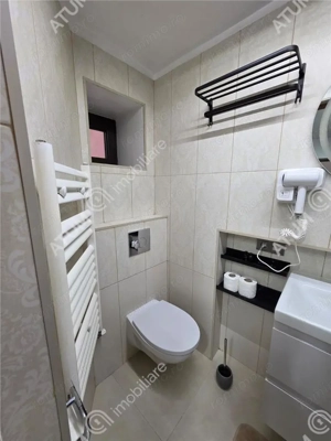 De vanzare 3 studiouri moderne pe strada Nicolae Balcescu din Sibiu - imagine 20