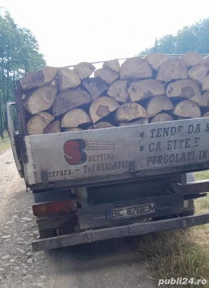 vand lemne de foc fag - imagine 2