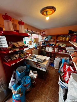 Dau in chirie spatiu comercial - imagine 2