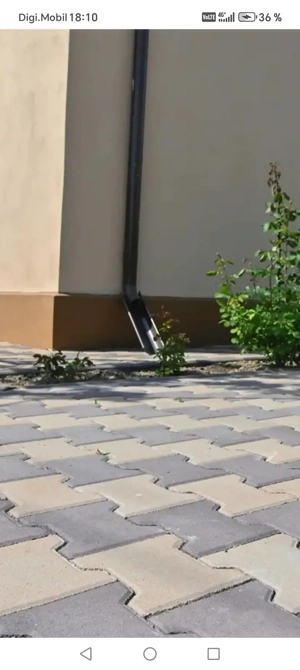 Montam pavele  - imagine 2