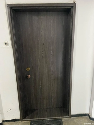 Vopsit - colantat uși interioare si exterioare  - imagine 5