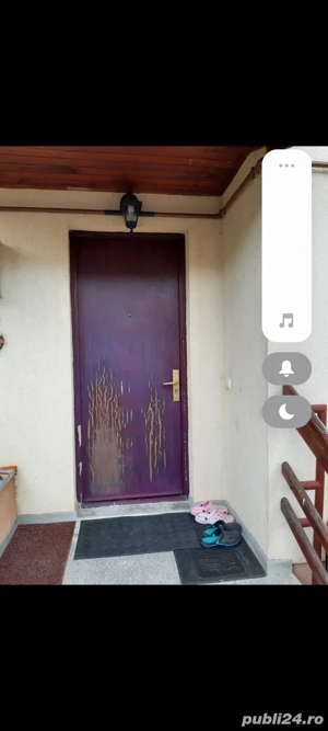 Vopsit - colantat uși interioare si exterioare 