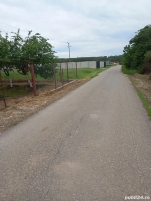 Teren de vanzare Pielesti