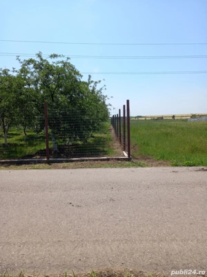 Teren de vanzare Pielesti - imagine 4