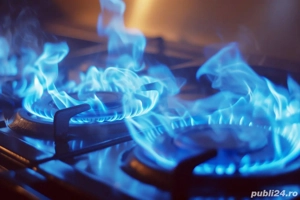 Angajăm bucătari și ajutori de bucătar