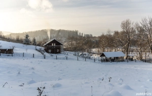 Cabană + 1,1 ha teren în Cacica | 150+ recenzii 5 stele