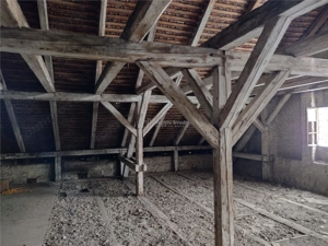 Oravita, Casa cu Spatiu Comercial, 784mp, ZERO COMISION - imagine 9