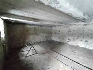 Oravita, Casa cu Spatiu Comercial, 784mp, ZERO COMISION - imagine 20