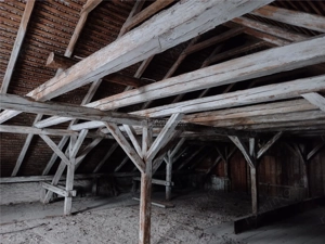 Oravita, Casa cu Spatiu Comercial, 784mp, ZERO COMISION - imagine 6