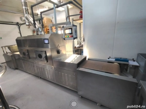 Echipament de uscare cu microunde a plantelor fructelor si legumelor - imagine 3