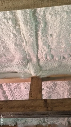 Vand , schimb ,închiriez casa Bulevardul Carpenului - imagine 9
