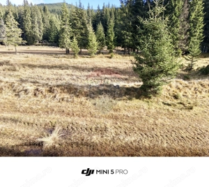 Teren de vanzare - 5000 mp - Peștera Padina - imagine 3