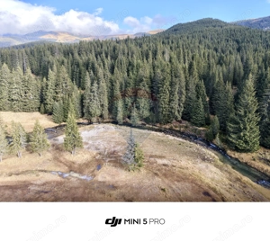 Teren de vanzare - 5000 mp - Peștera Padina - imagine 4