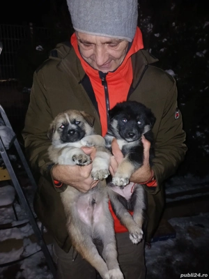 Vand opel corsa d stare buna - imagine 4