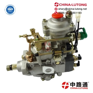 Injection Pump R85 for 0445010179 Bosch Fuel Pump Assembly