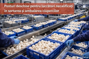 Angajăm.cupluri imediat